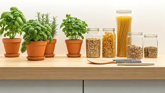 Transform Your Home: Ingenious Hacks for Gardening, Decor, and Organization