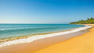 Related Stories banner