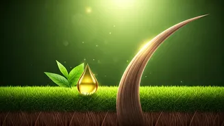 Unlock Thicker Hair: 5 Proven Natural Strategies for Boosting Hair Density