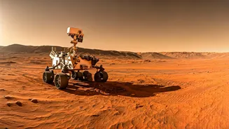 Mars Missions: A Focus on Finding Life