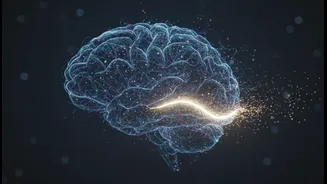 What Students, Creators and Professionals Using AI Tools Risk Missing in OpenAI's GPT-5.6 Rollout
