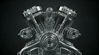 Understanding the Realm of Science