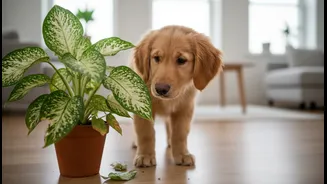 Pet Owners Need A Clear Plan For Accidental Plant Ingestion
