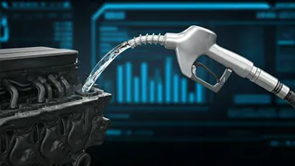 E20 Petrol Not A Proven Damage Threat, Says ARAI