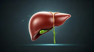 Decode Your Fatty Liver Report: ALT, AST, and Grades Explained for Better Health