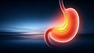 Related Stories banner