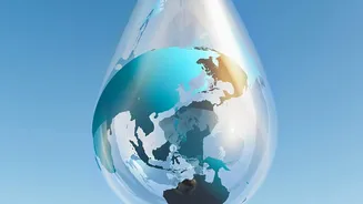 Scientists Argue Aquatic Deoxygenation Belongs In The Planetary Boundaries Framework