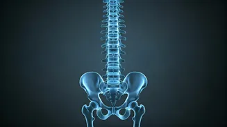 Ignoring Neck Pain: A Spine Surgeon's Warning