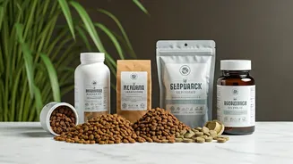 Mainstream Wellness Systems Treat Pet Nutrition As Essential Baseline Need