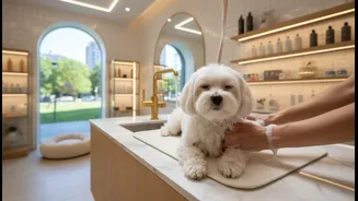 Urban India's pet-parenting boom: India's Premium Pet Economy is turning grooming, insurance and travel into recurring expenses
