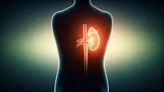 Related Stories banner