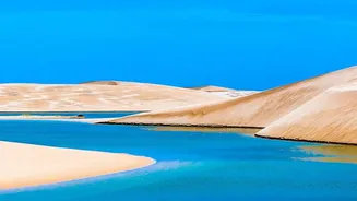 The Qatar Desert-To-Sea Day Trip Shows How Contrasting Landscapes Fit Into One Day
