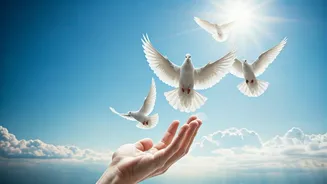 Inner Peace: The Art of Forgiveness in Daily Life