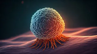 Boosting Cancer Treatment: Immune Cells Show Promise