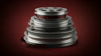 Thalapathy Vijay's Film: Delayed Release & Refund