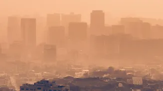Delhi Smog Season Brings Attention To Skin Barrier Care