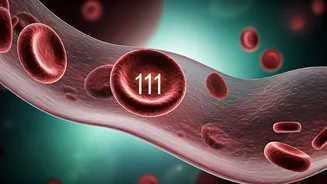 Understanding Your Blood Sugar: When 111 mg/dL is a Signal, Not a Diagnosis