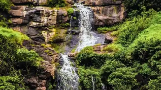 How To Tour Western Ghats Waterfalls Comfortably On Board The Jan Shatabdi Line