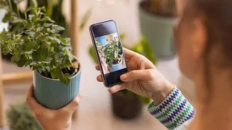 How to care for your plant? AI can guide you