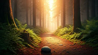 Vloggers Swear By This Unique Run To Meditate Routine
