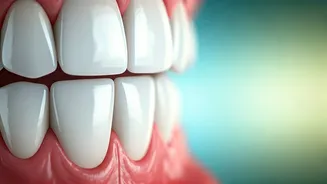 Related Stories banner