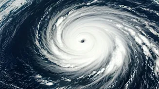 Decoding Hurricanes: From Formation to Impact
