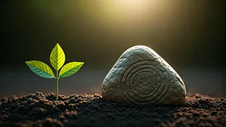 Environment Day And Ekadashi Make June Feel Special