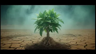 Higher Atmospheric CO2 Drives Growth In Models, But Brings Wider Climate Damage