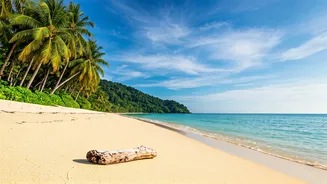 Escape To Sunny Malaysian Coasts Utilizing Fast Electronic Approvals