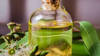 Eucalyptus Foot Soaks Should Never Involve Swallowing Or Internal Use