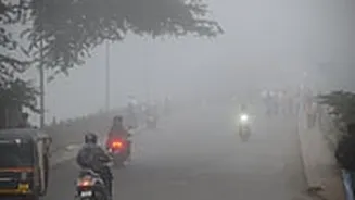 Madhya Pradesh December 16, 2025, Weather Updates: Dense Fog Shrouds 22 Districts, Visibility Drops Below 50 Metres In Rewa–Satna
