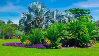 How The Low-Water Gardening Shift Changes The Case For Plant Choice By Long-Term Water Needs