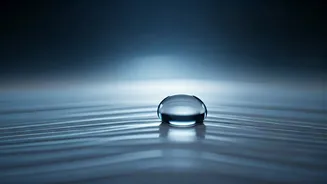 Glass Skin Starts With A Strong Skin Barrier