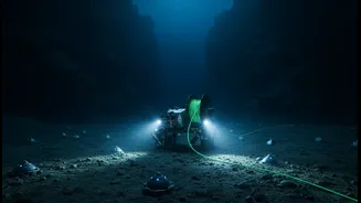 The Role Of Ocean Drilling, Distributed Sensors And Fibre-Optic Cables In Deep-Ocean Science's New Tools