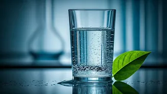 Clean Water Is The Real Immunity Hack