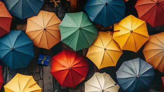 IMD's Multi-Day Heavy-Rain Forecast Puts Last-Mile Checks During Multi-Day Rain Alerts On The Checklist