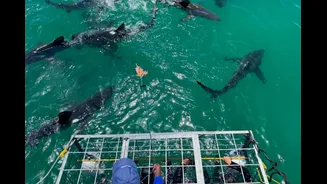 Travelling Across South Africa Has No Right Being This Good!