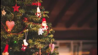 From Classic to Quirky: How Gen Z Is Redefining Christmas Traditions