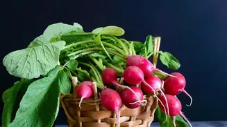 Radish and Beetroot Offer Different Routes to Eating More Vegetables