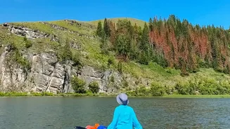 Choosing Between Kayaking And Paddleboarding? Consider Seated Paddling Versus Standing Balance