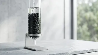 Why Bio-Char Made From Rice Husks Is Perfect For Low-Cost City Water Purification