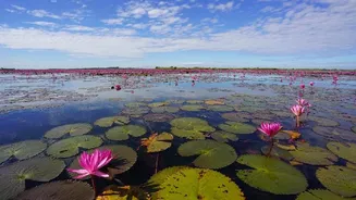 Pesona Talay Bua Deng, Latar Amazing Thailand x LISA