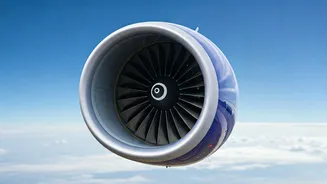 IndiGo's Q3 Performance: Investor's Guide