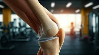 Move It or Lose It: Exercise & Joint Health