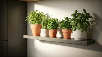 Tiny Green Mood Boards Are Taking Over Kitchens