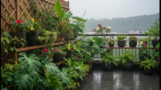 Create A Cooler Terrace With Monsoon-Friendly Plants That Thrive In Indian Weather