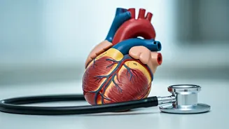 Understanding Blood Pressure Medications: A Cardiologist's Guide