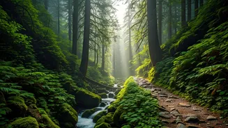 North India's Nature Trails Look Better Than Ever