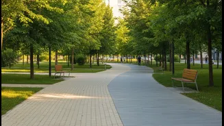 Walkability and safe open spaces influence whether routines stick: why Healthy Living In Urban India matters