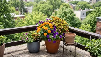 How To Choose Seasonal Plants For An Indian Balcony Garden